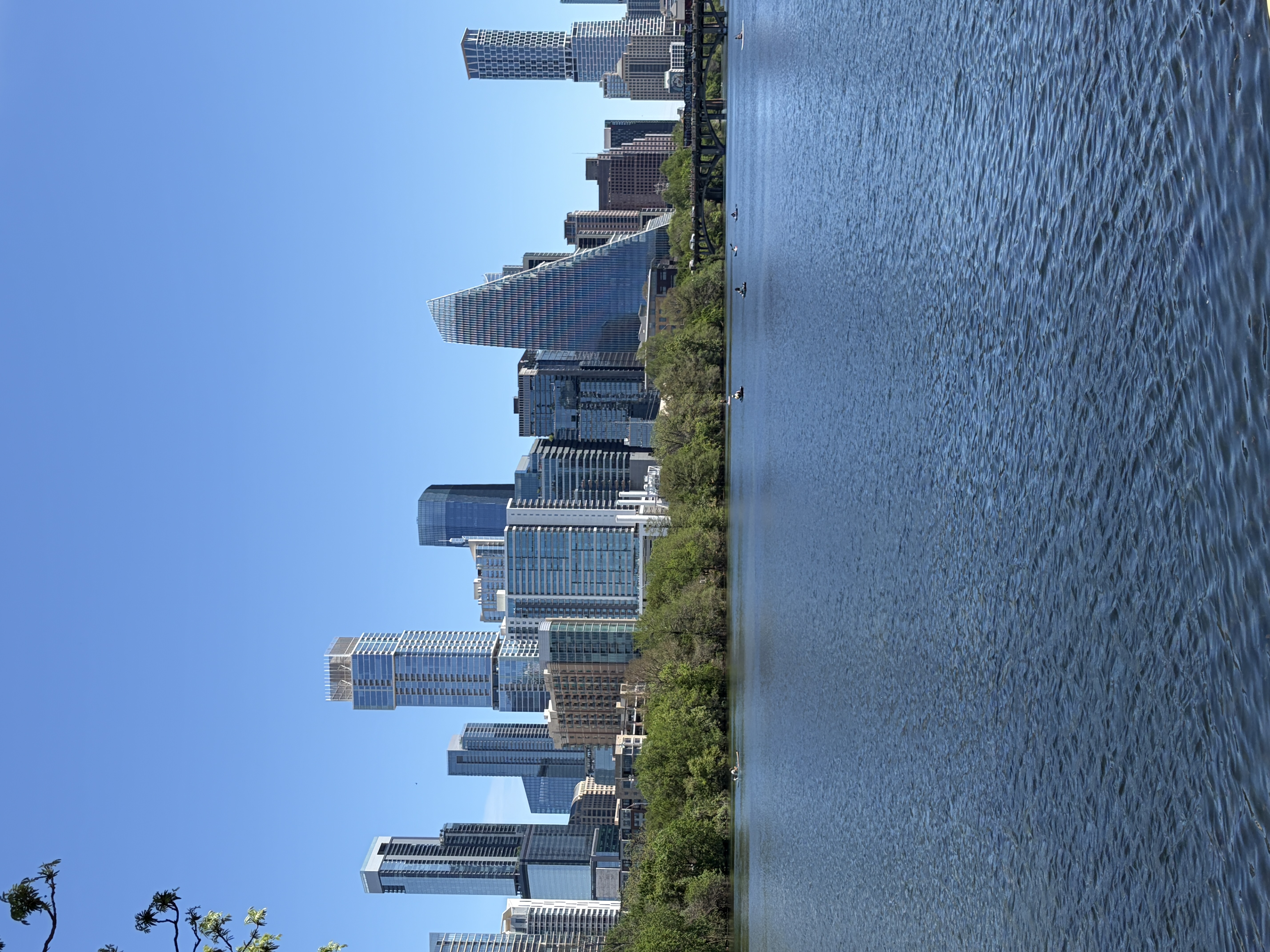 Lou Neff Point