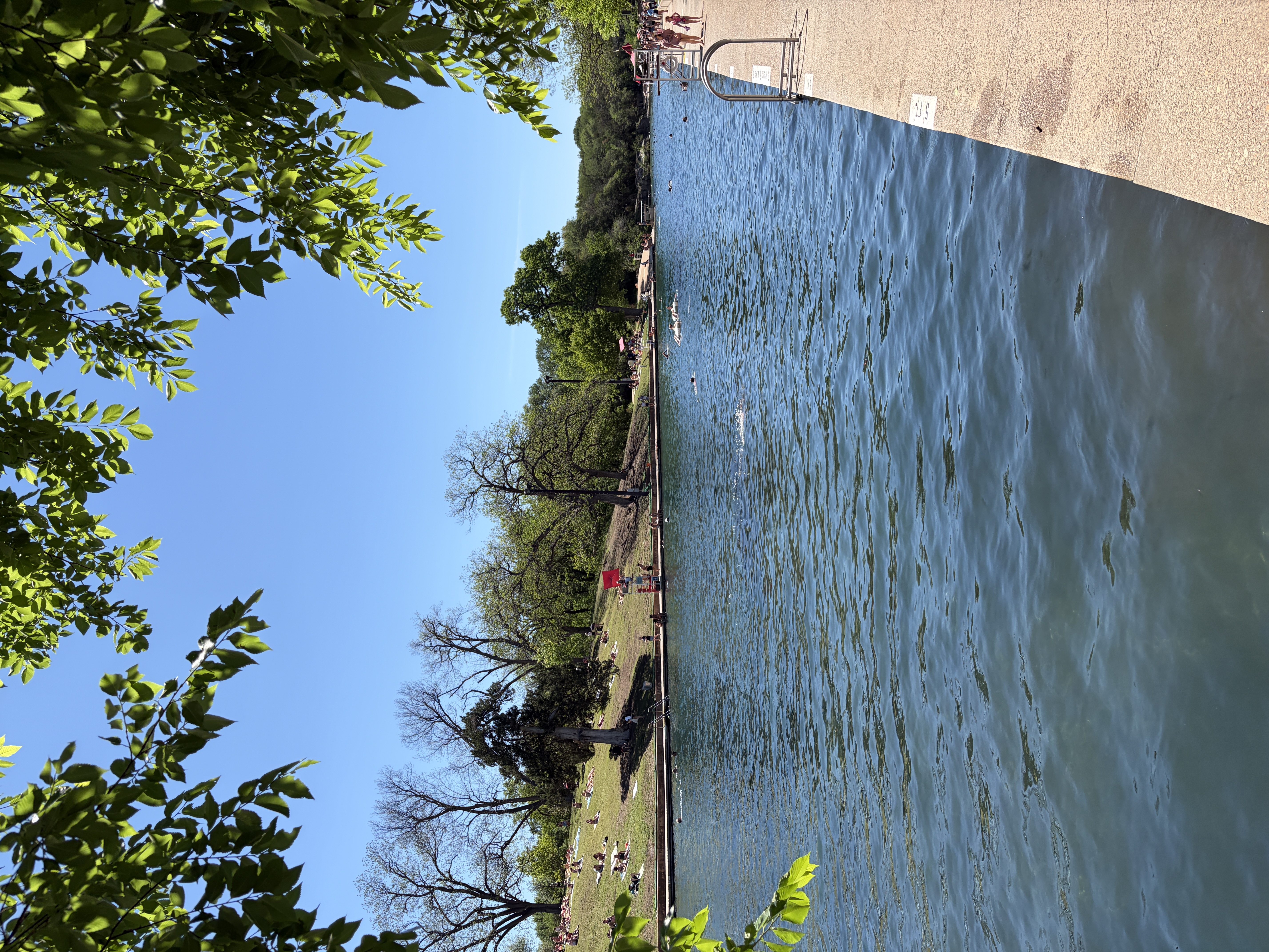 Barton Springs Pool